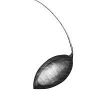 Samen Unbekannt/Seed Unknown, Kugelchreiber Zeichnung/Ballpoint Pen Drawing A3, 2003